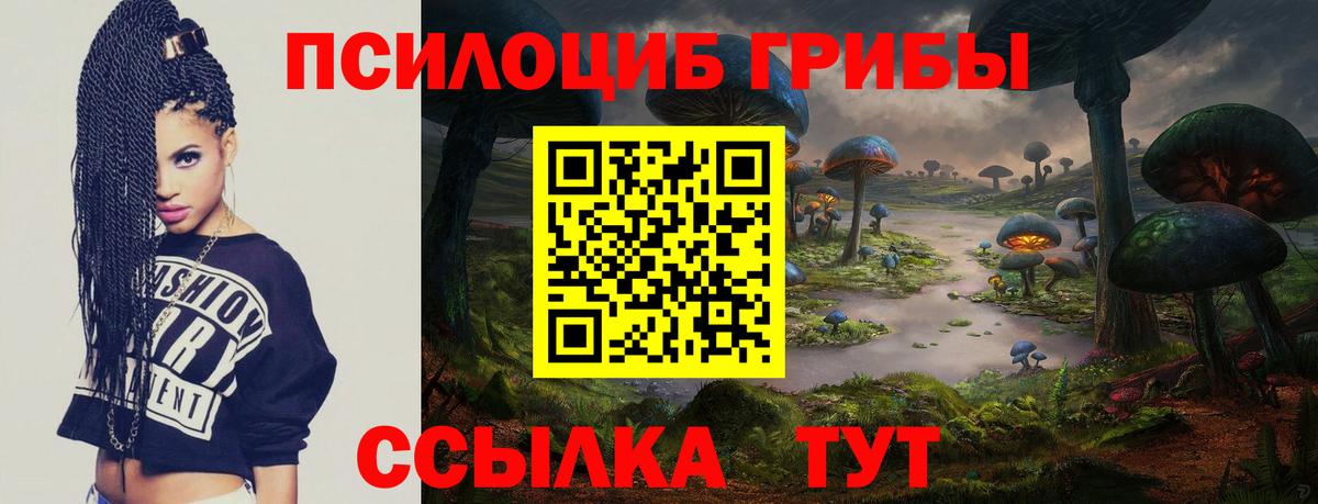 Полевской  Псилоцибиновые грибы прущие грибы  Вход с VPN 